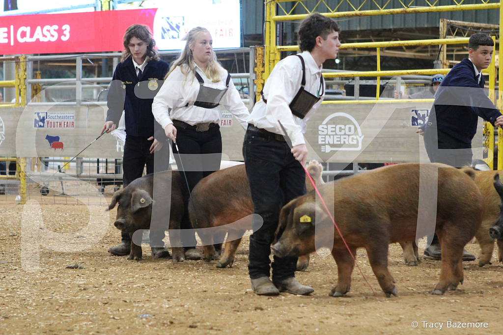 swine0275
