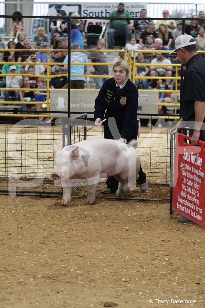 swine0277