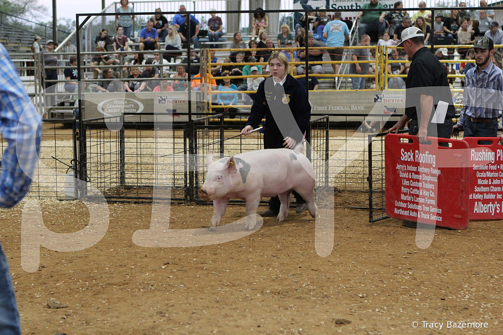 swine0278