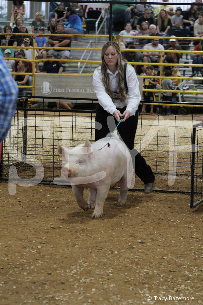 swine0280