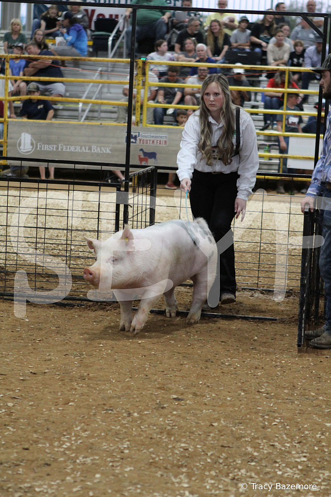 swine0279