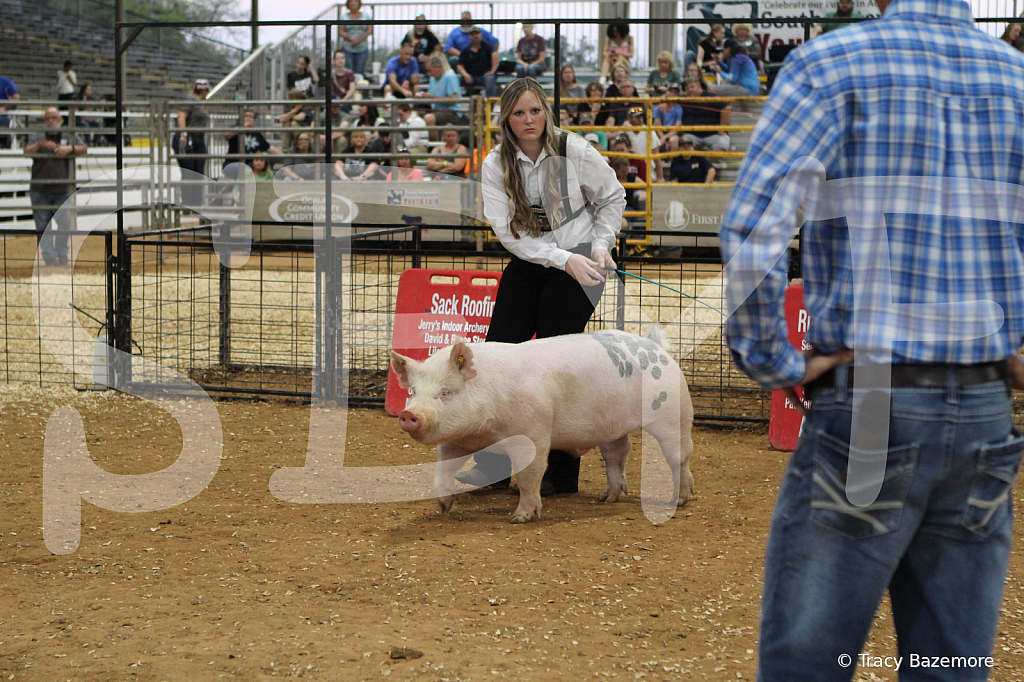 swine0281