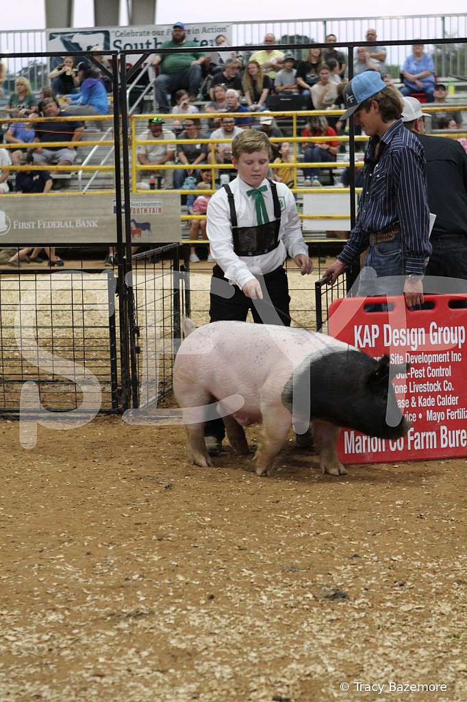 swine0282