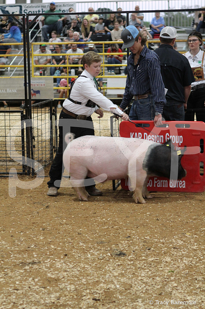 swine0283