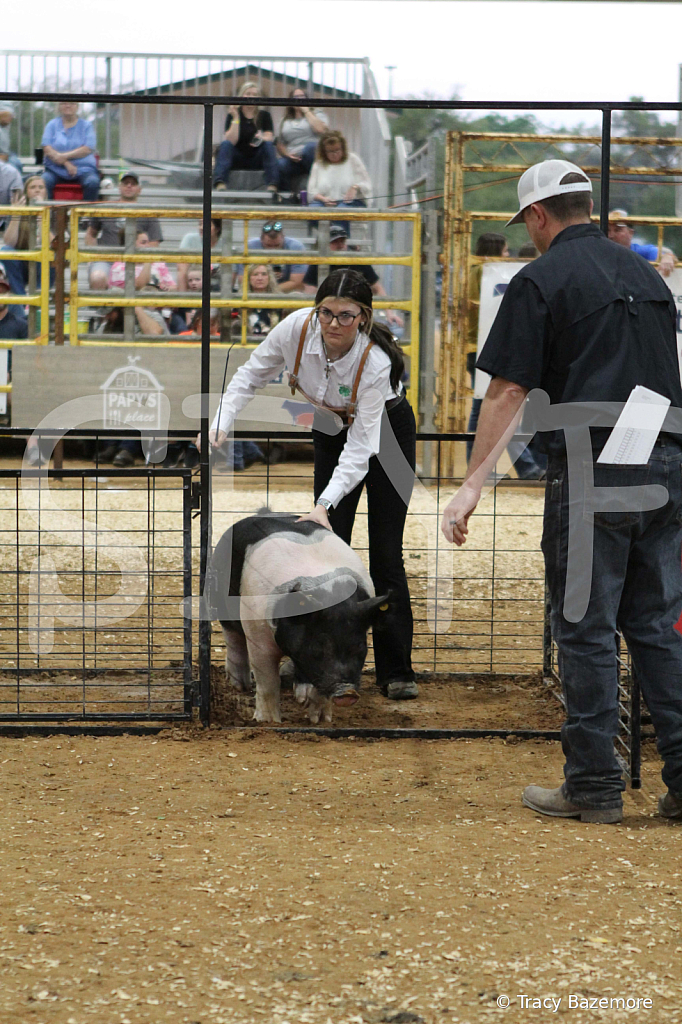 swine0285