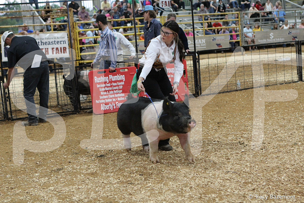 swine0287