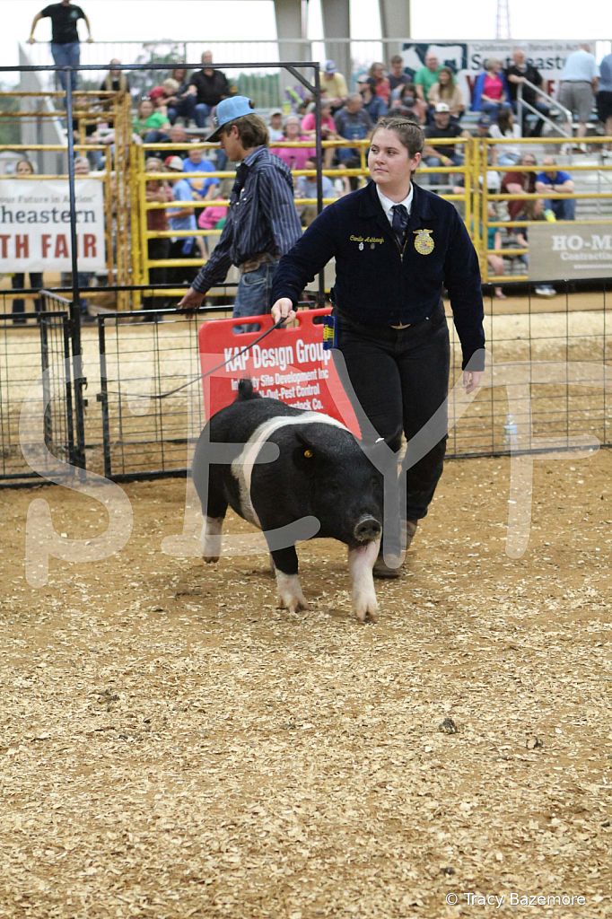 swine0292