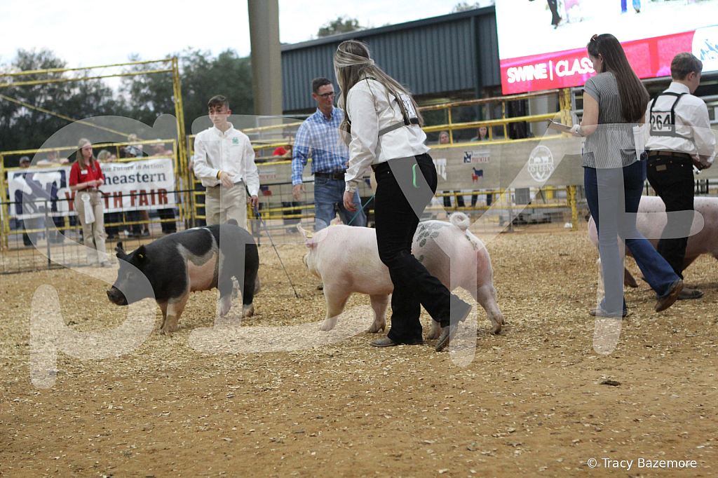 swine0296