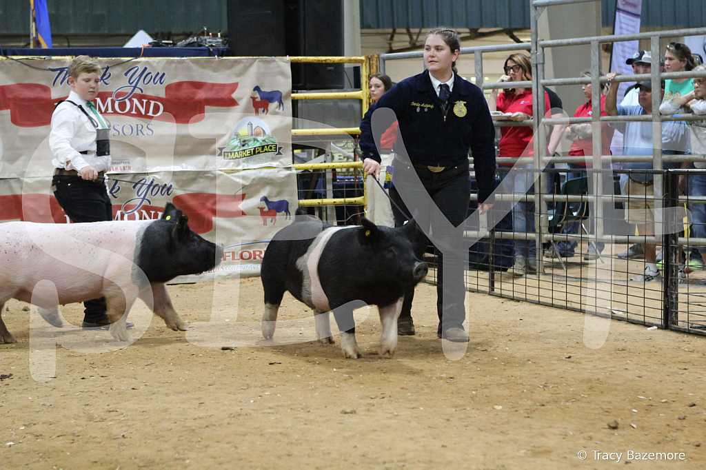 swine0298