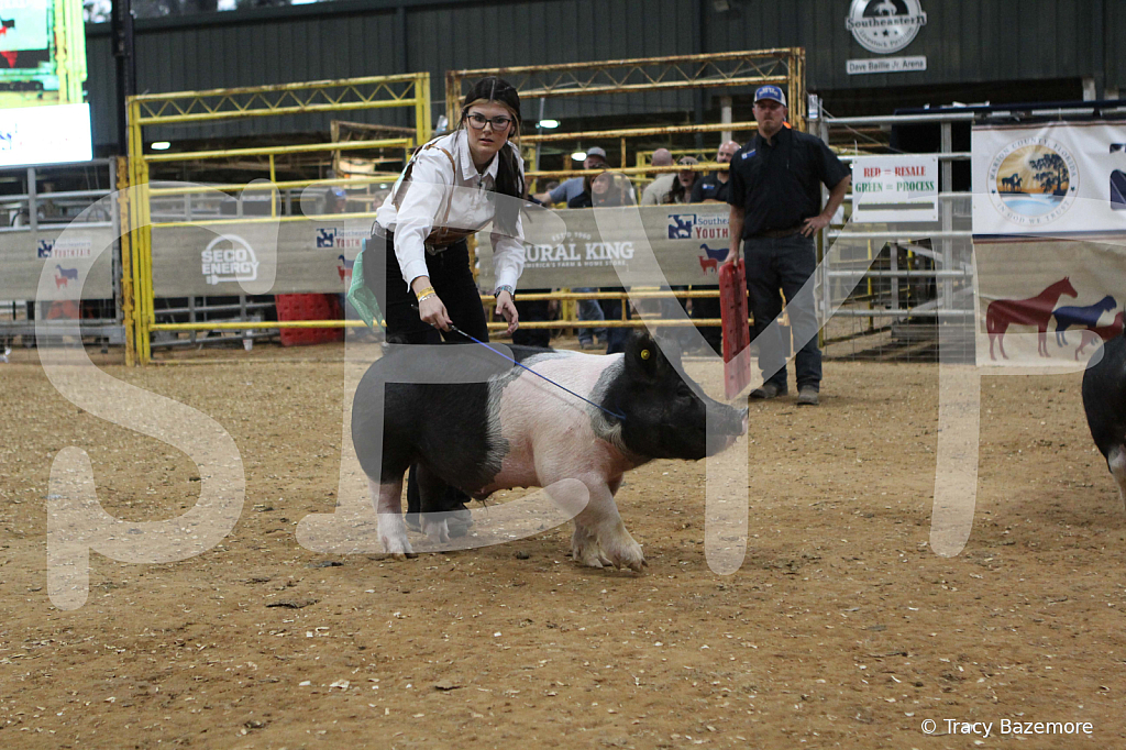 swine0297