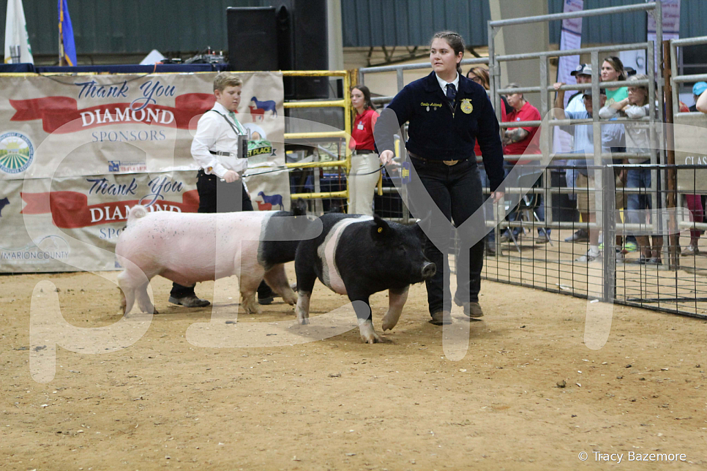 swine0299