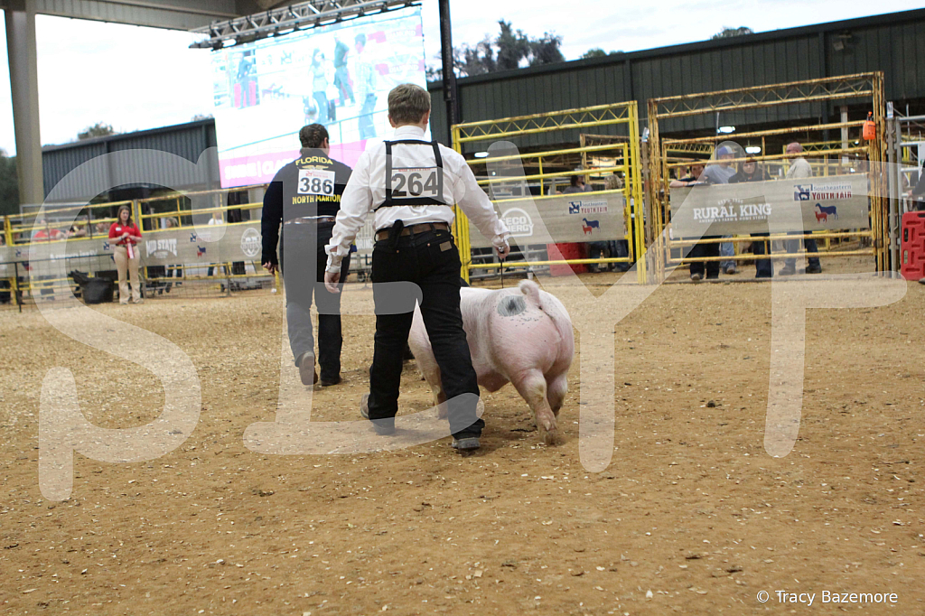 swine0300