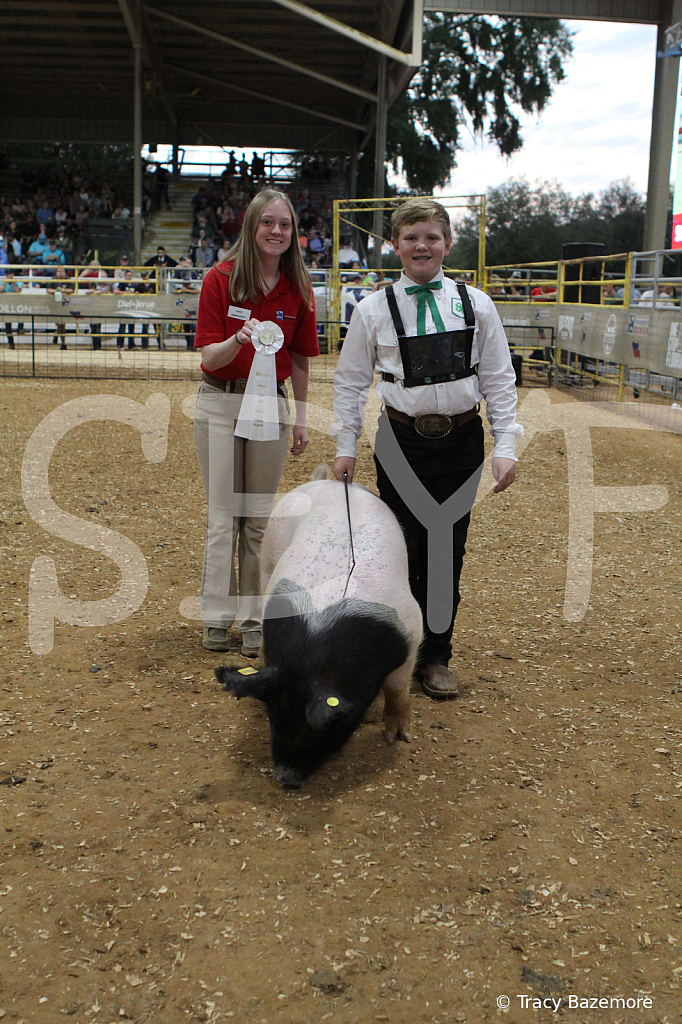 swine0307
