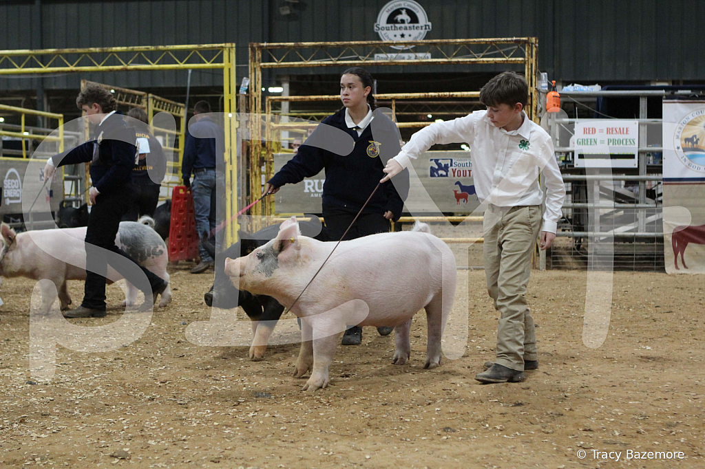 swine0321
