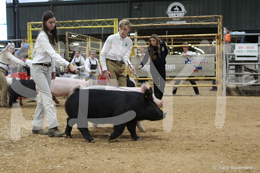 swine0325