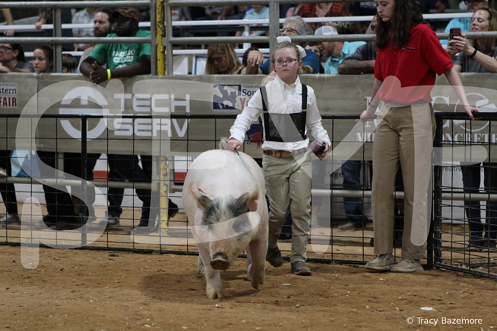 swine0333