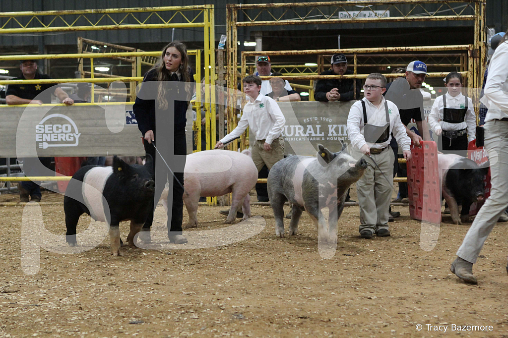 swine0341