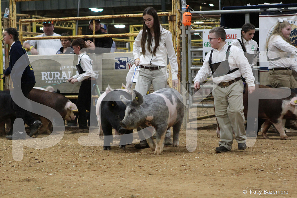 swine0345