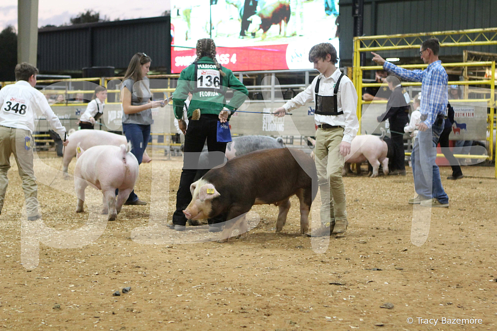 swine0350