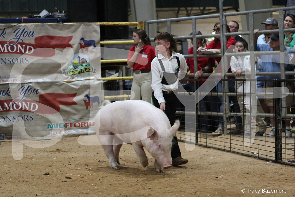 swine0352