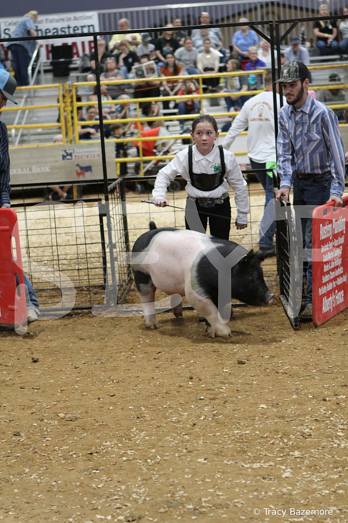 swine0358