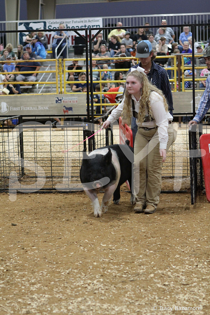 swine0359