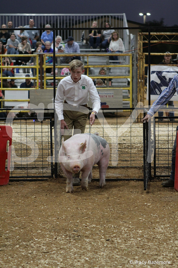 swine0362
