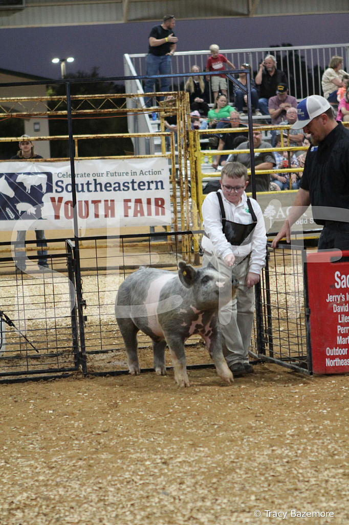 swine0364