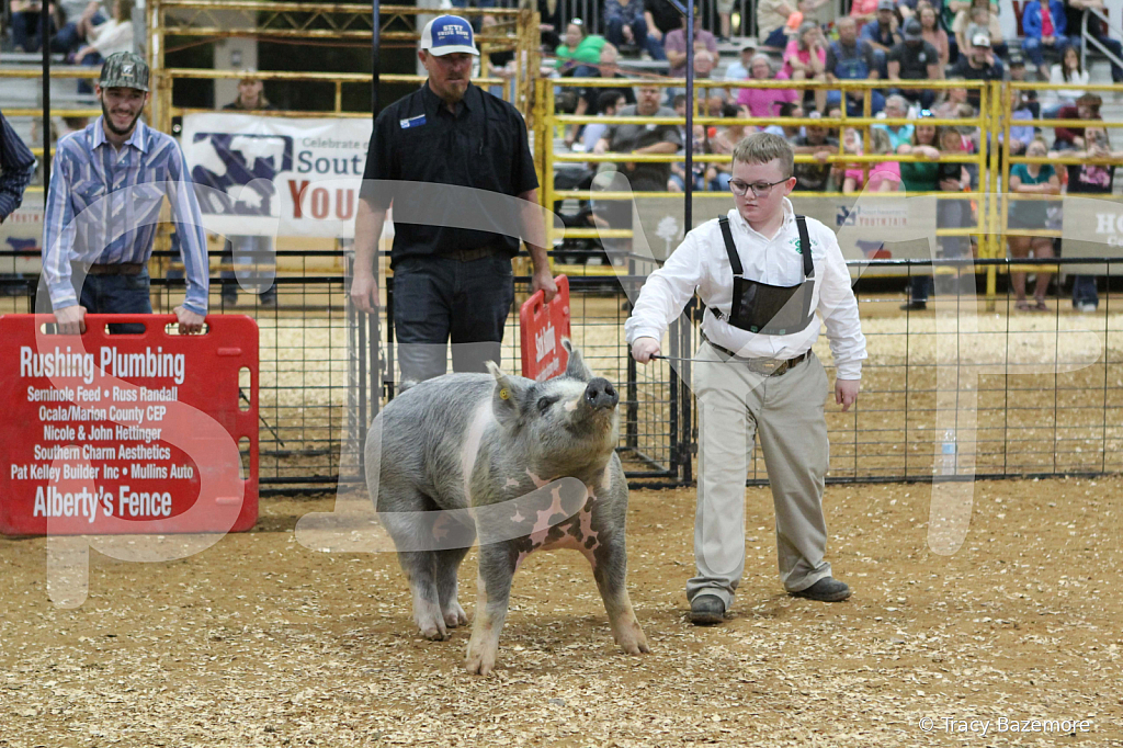swine0367