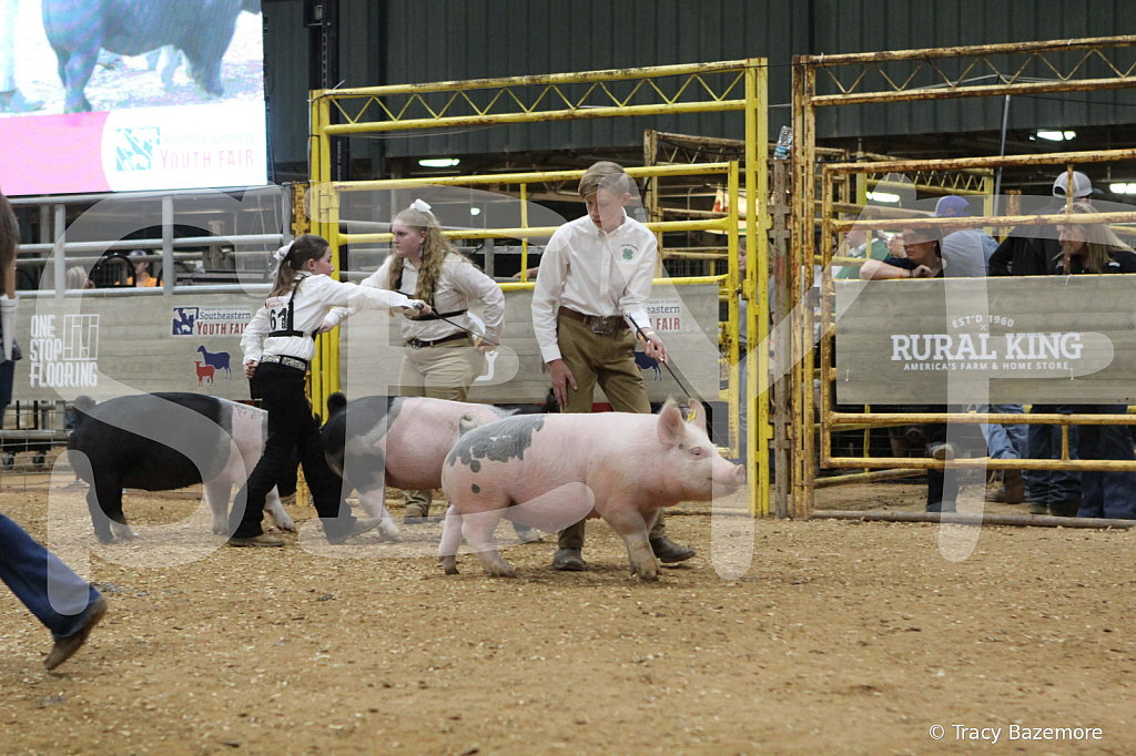 swine0368