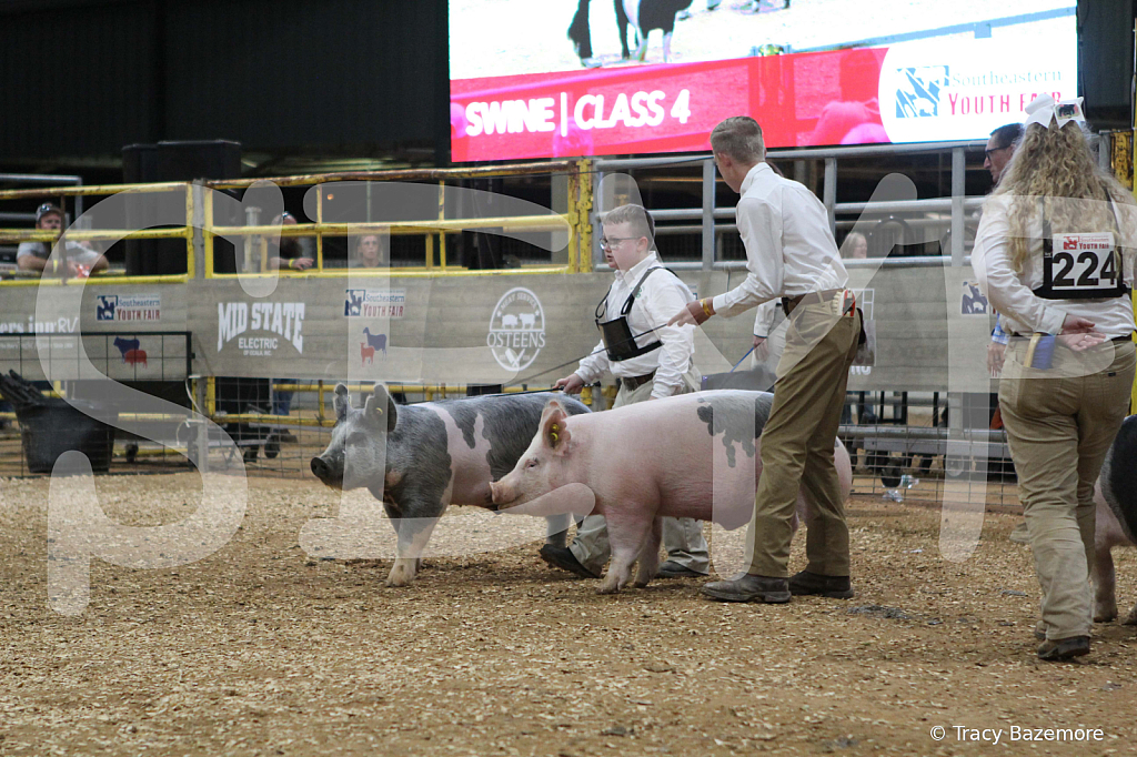 swine0370