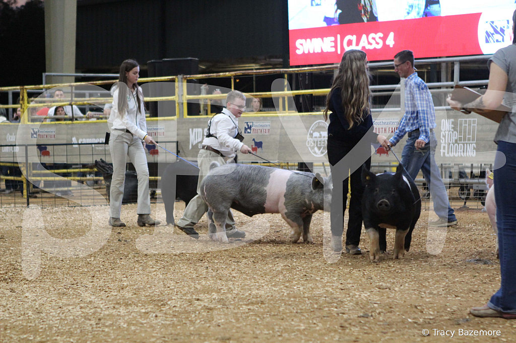 swine0369