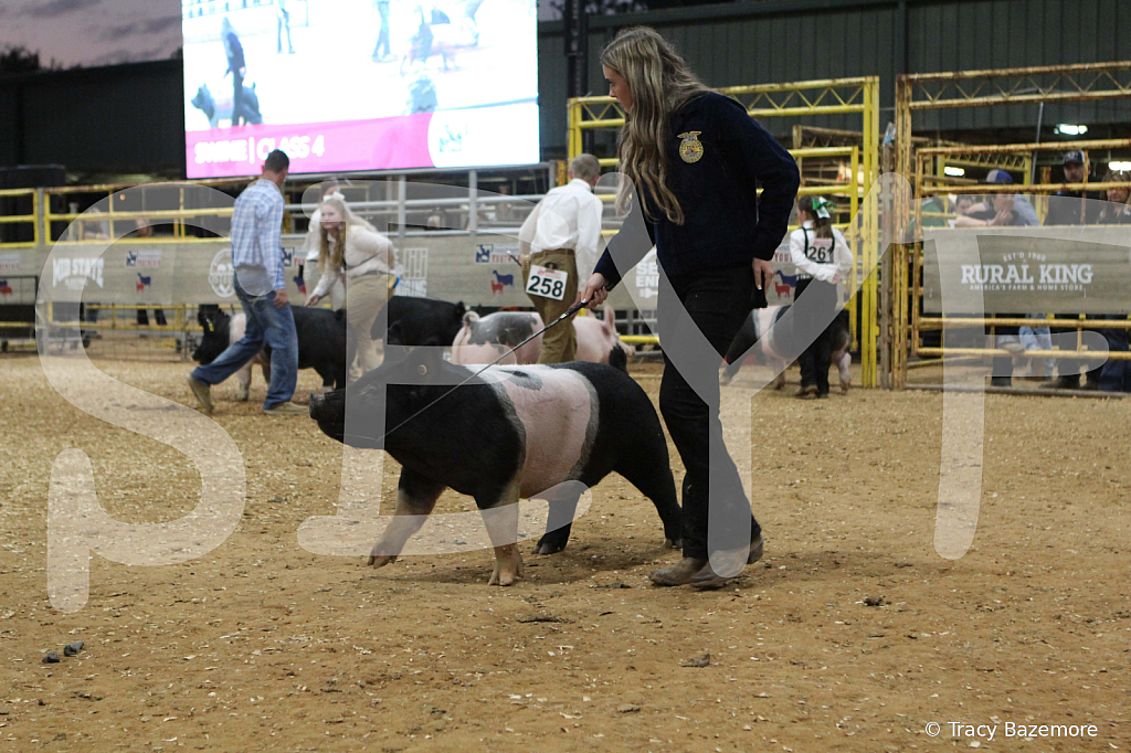 swine0371