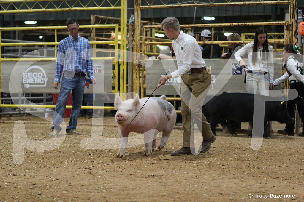 swine0372