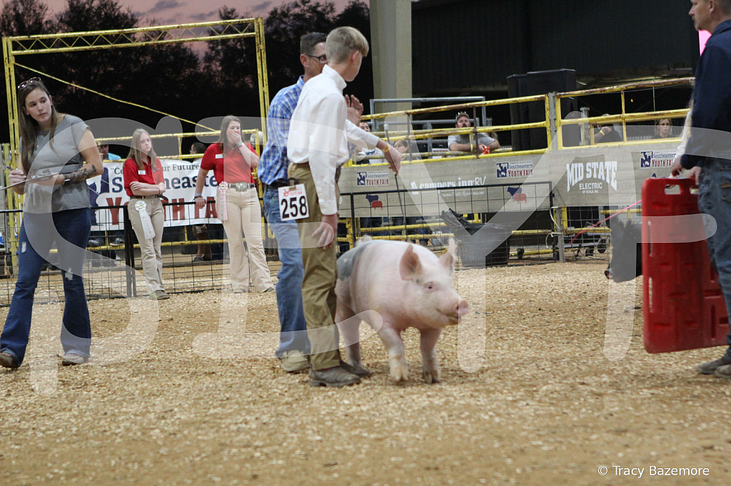 swine0373