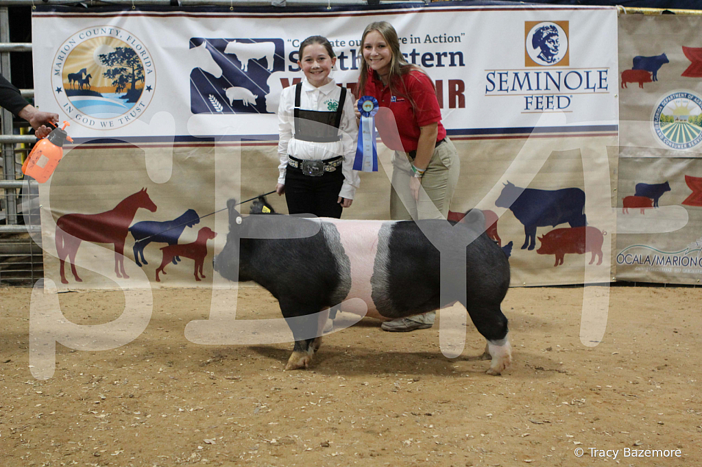 swine0379