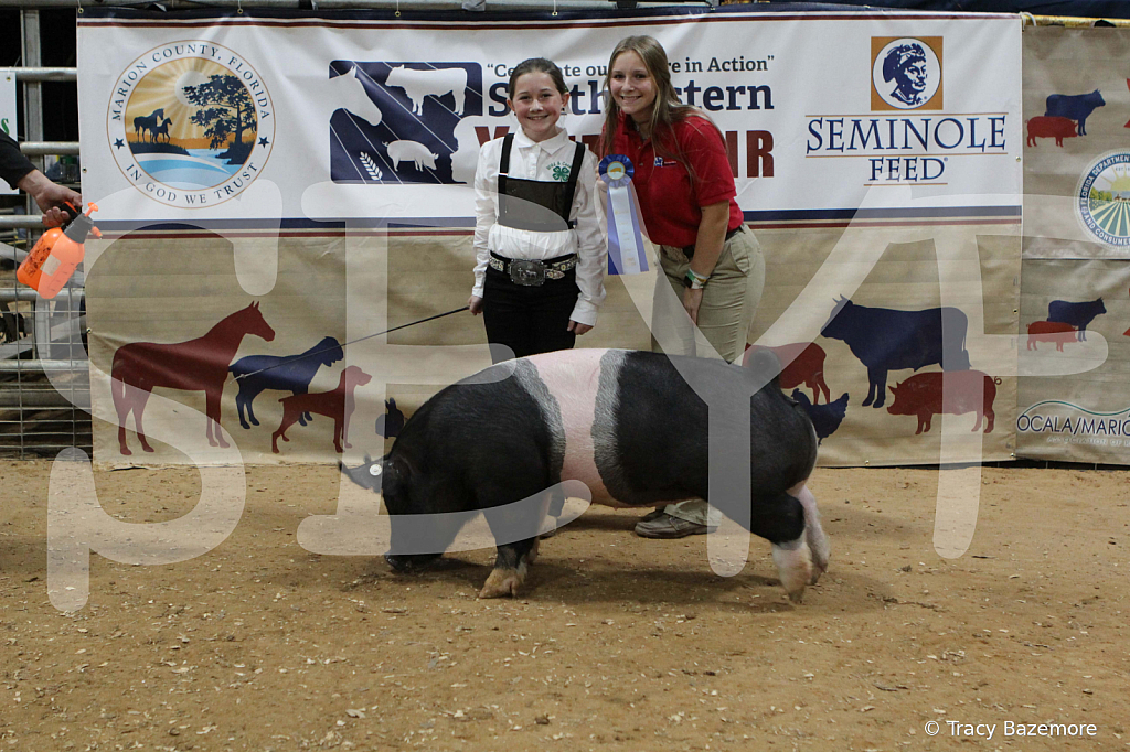 swine0380