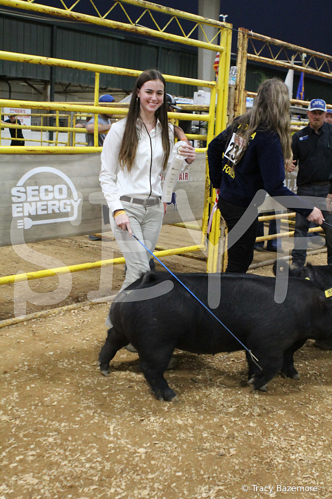 swine0384