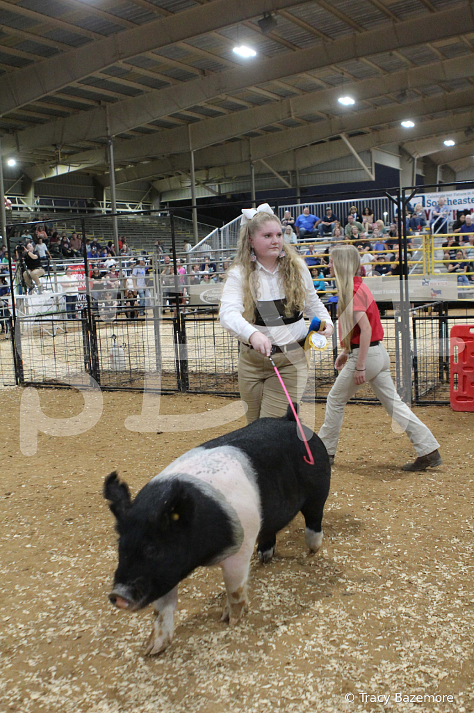 swine0386