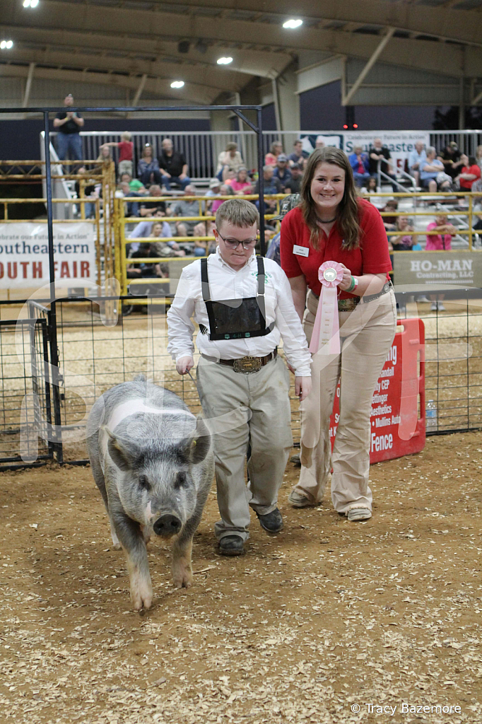 swine0391