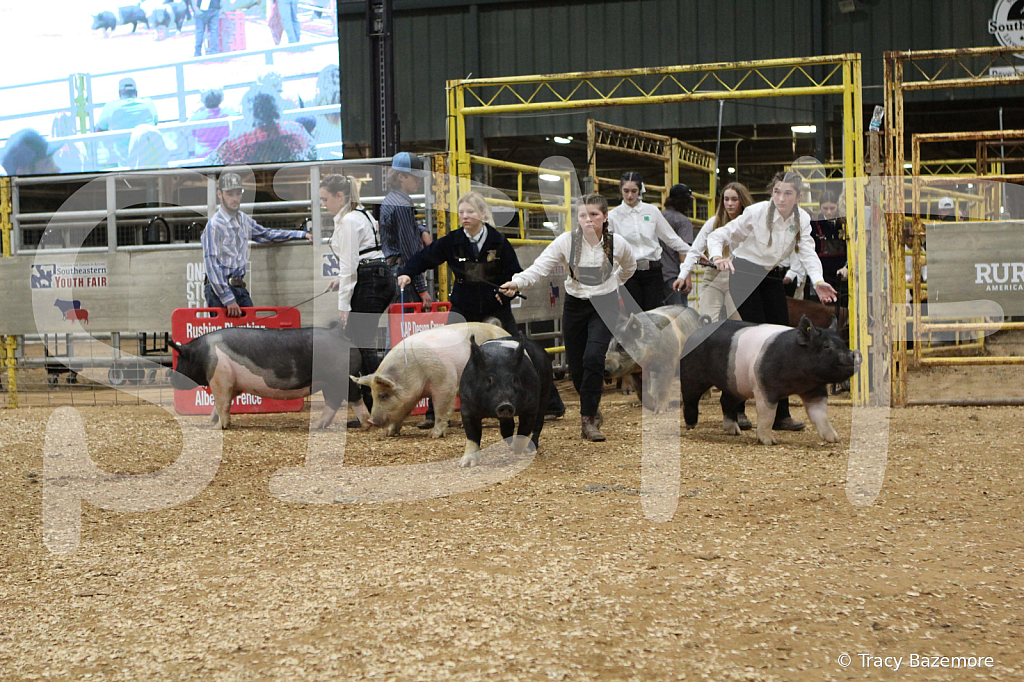 swine0394