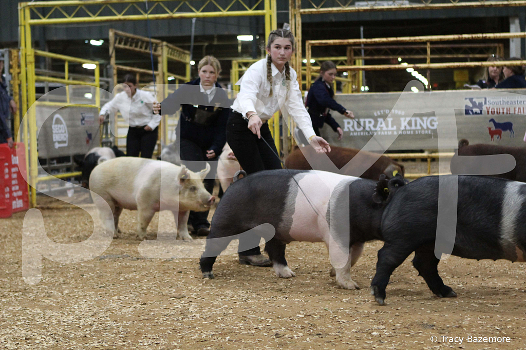 swine0396