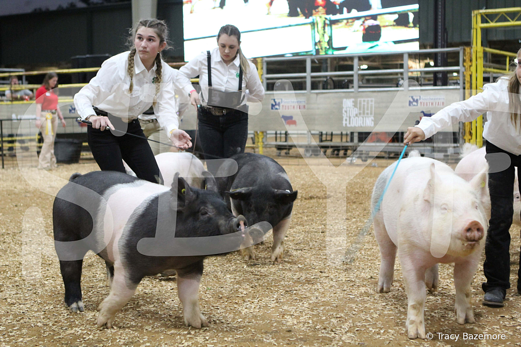swine0398