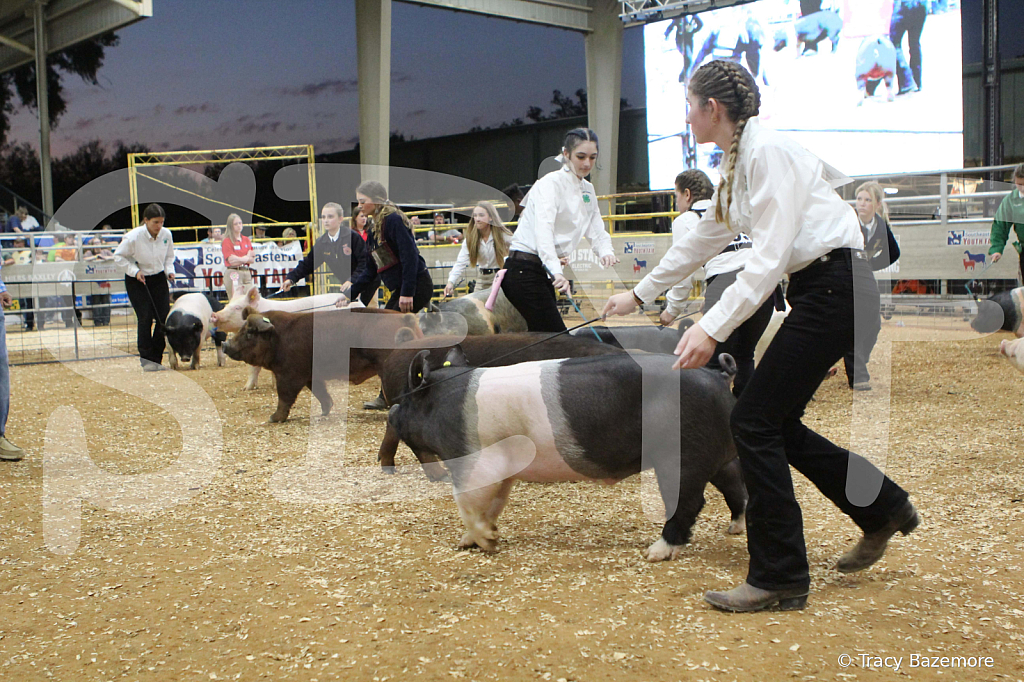 swine0400