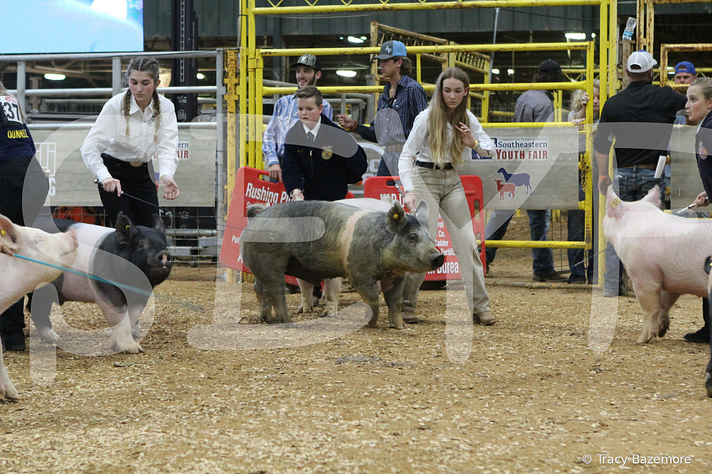 swine0404