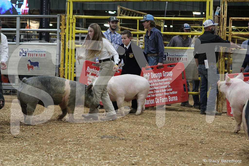 swine0403