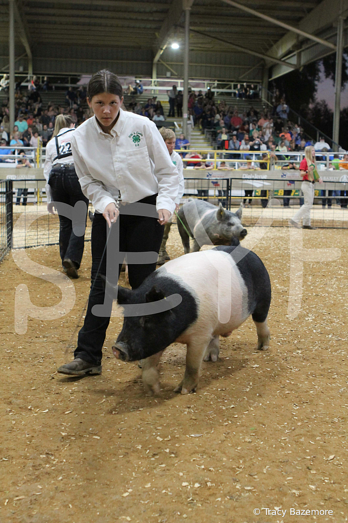 swine0406