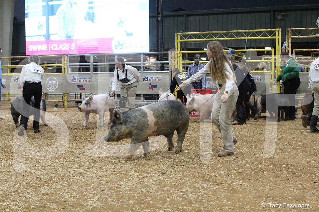 swine0407