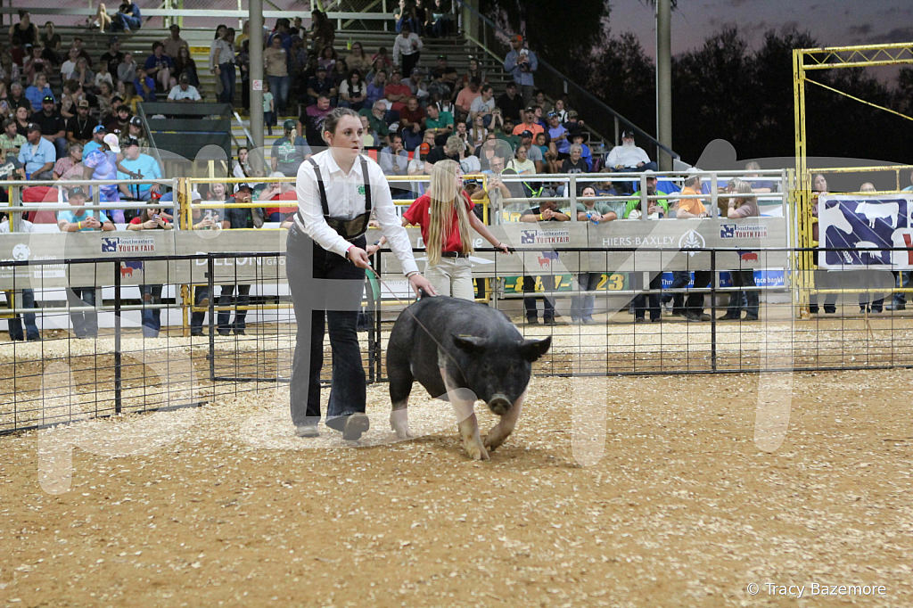 swine0408