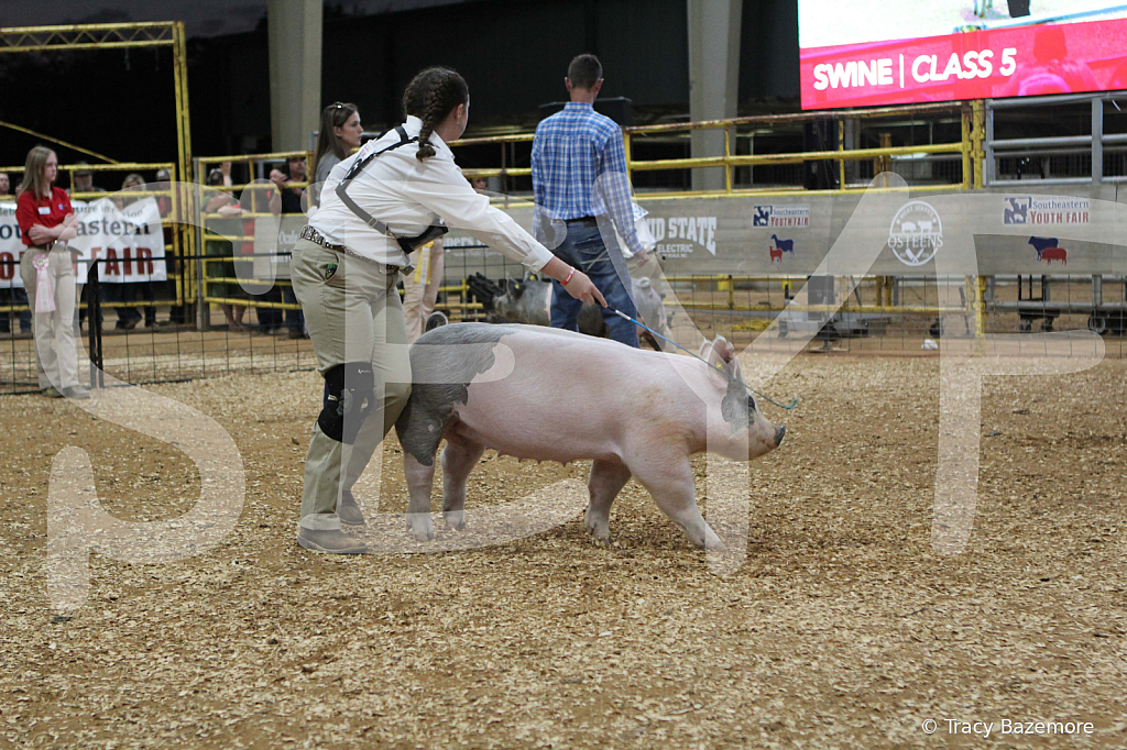 swine0409